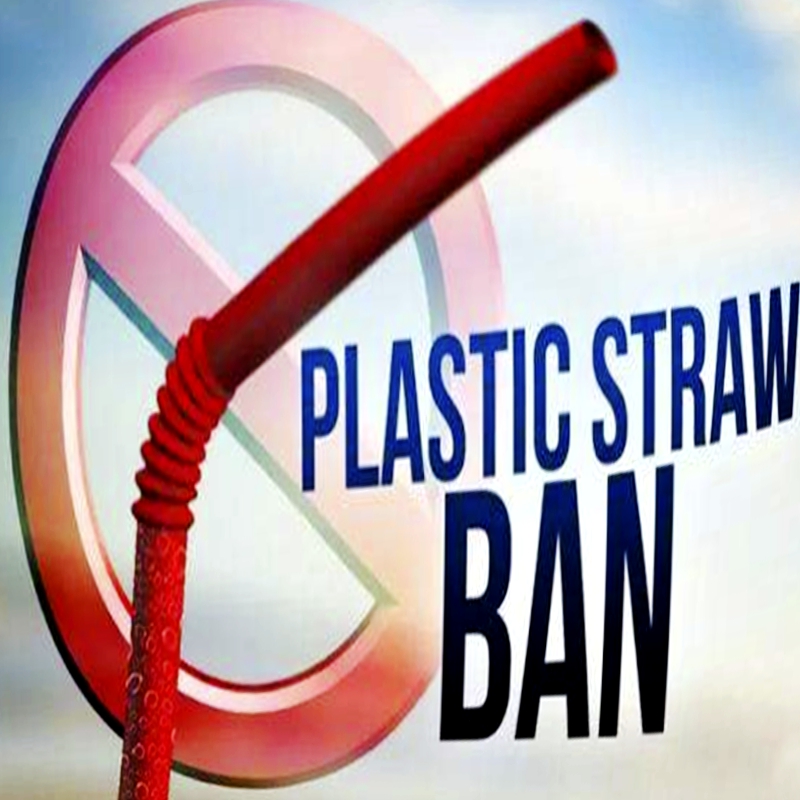 Что заменять после того, как Plastic Straw запрещен?